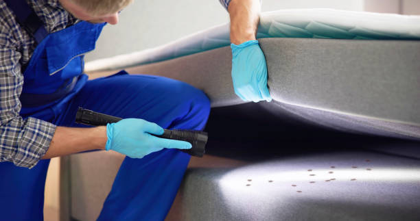 Best Pest Control Near Me in East Dennis, MA